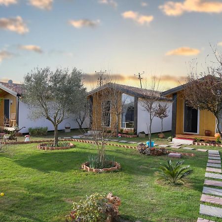 Hotel Villa Linda Shkodra Kültér fotó
