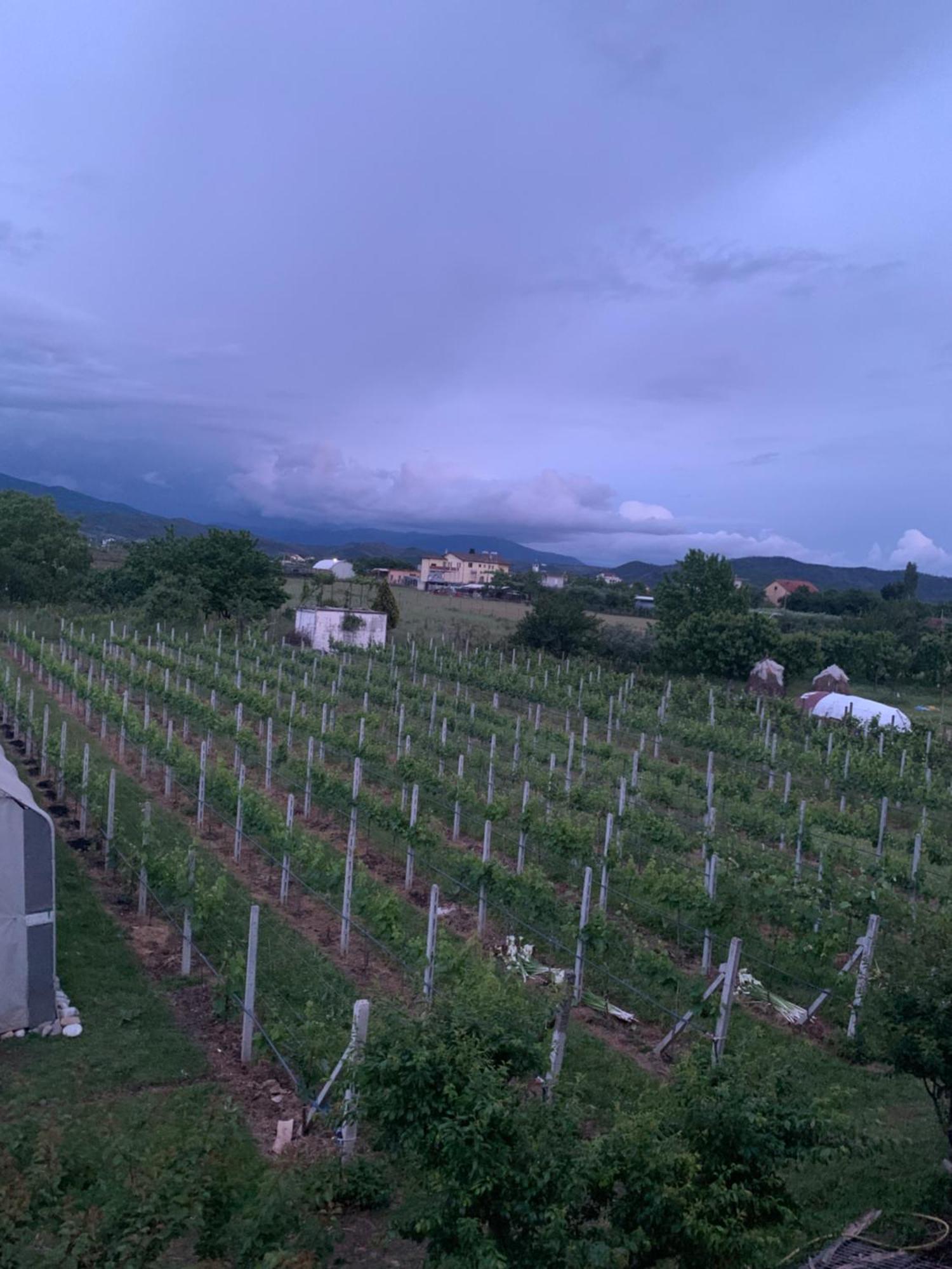 Hotel Villa Linda Shkodra Kültér fotó