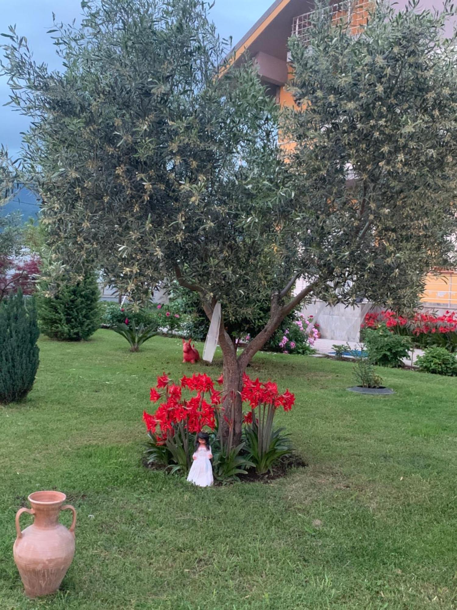 Hotel Villa Linda Shkodra Kültér fotó