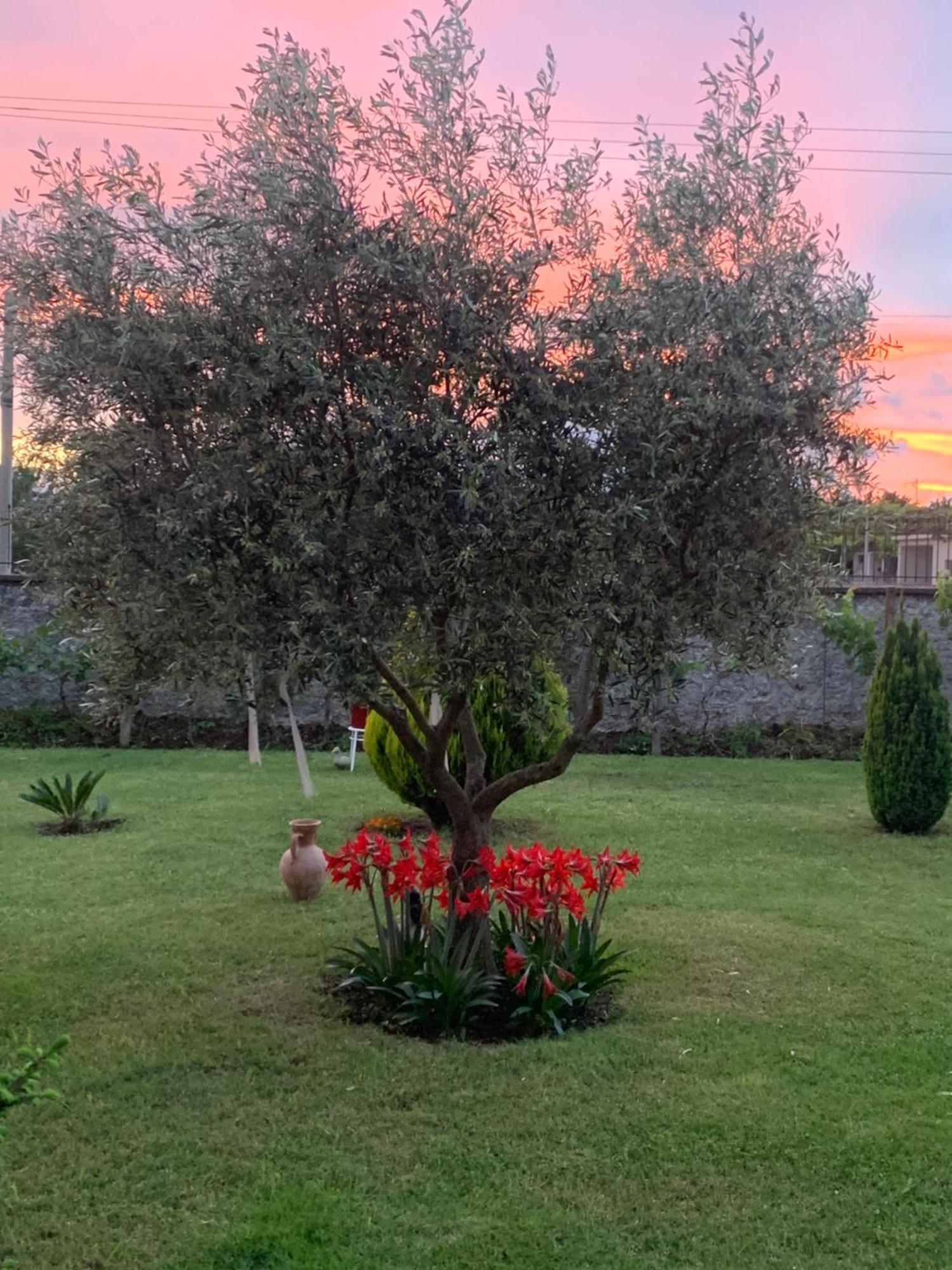 Hotel Villa Linda Shkodra Kültér fotó