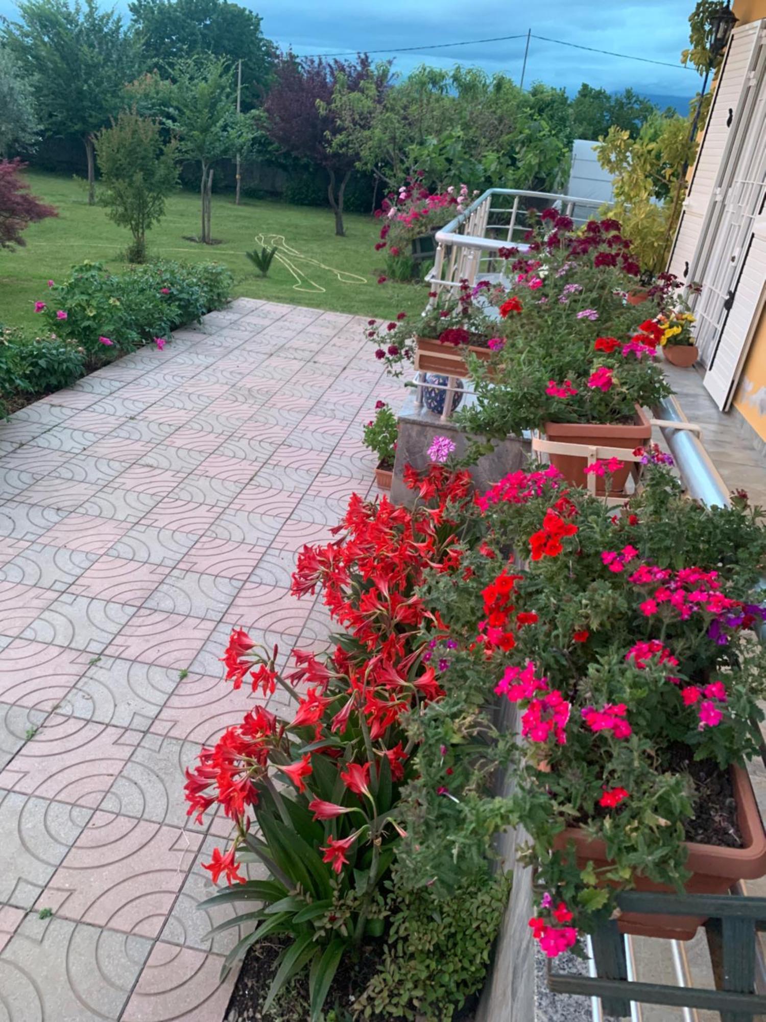 Hotel Villa Linda Shkodra Kültér fotó