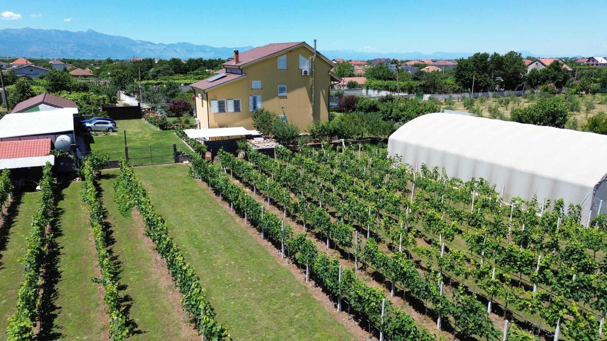 Hotel Villa Linda Shkodra Kültér fotó